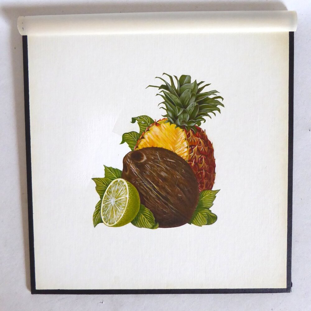 OOAK ORIGINAL ARTWORK TROPICAL FRUIT STILL LIFE ILLUSTRATION BY BILL HALL